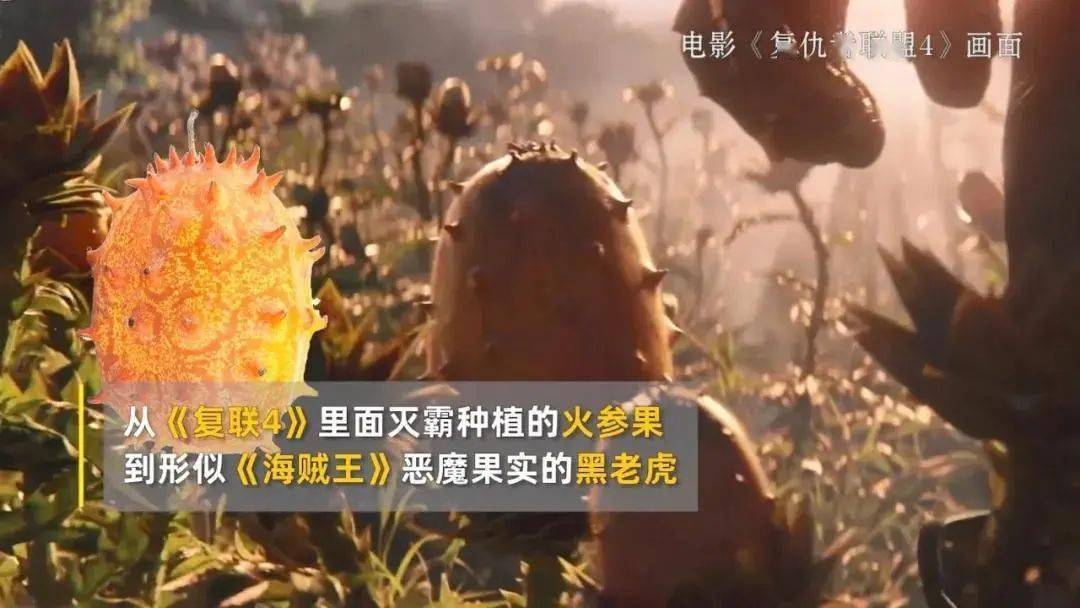 恶魔果实是啥灭霸快乐果又是啥这些奇奇怪怪的水果你吃过几种