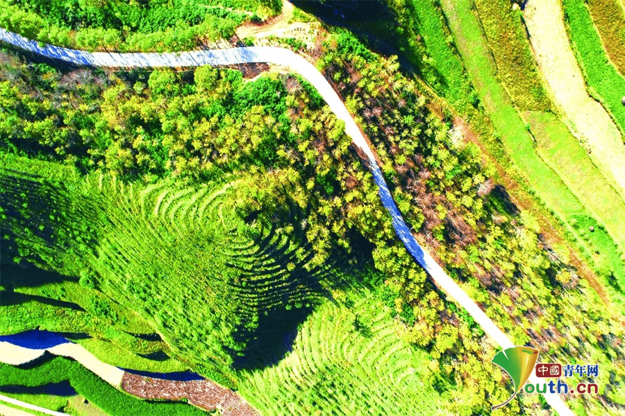 小康|【中国梦·黄河情】甘肃安定：生态小康幸福路