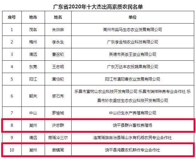 广东省饶平县2020年g_饶平县新丰镇全景图