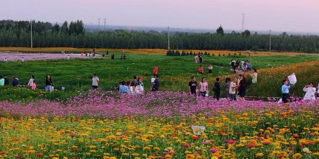 千年古县绽芳华 ——曲阳县承办第三届保定市旅发大会