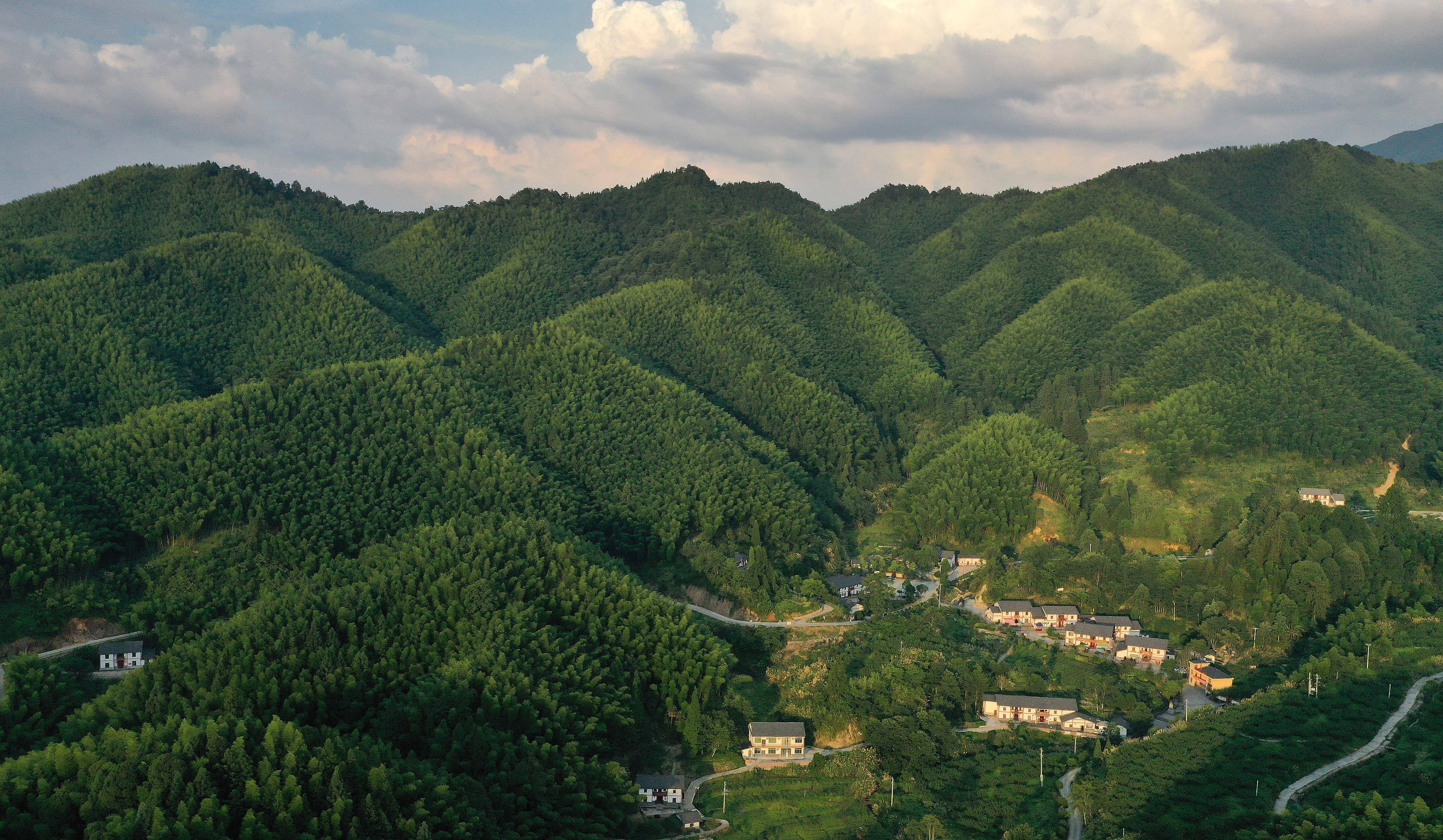 靳村乡鱼山村多少人口_灵石靳村王永军(2)