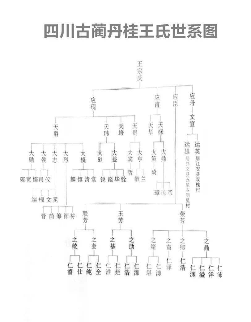 四川古蔺丹桂龙厂沟王氏家族简介