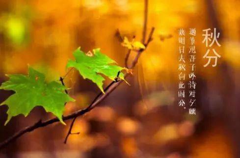九月的秋风落叶 e0eaaa5b7e1b4c17b1f4db09cbb51ff0.jpeg