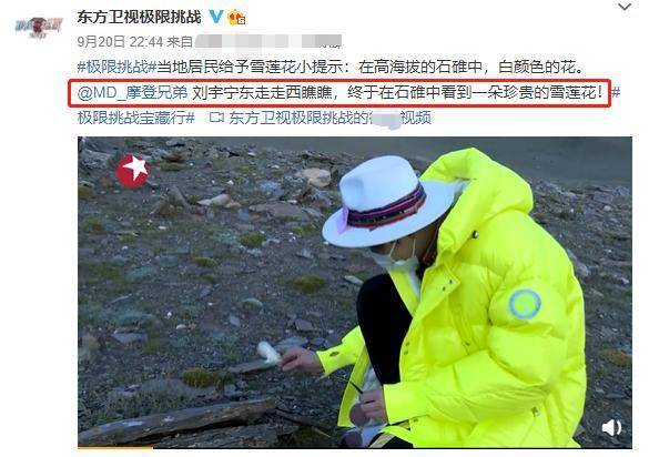 综艺嘉宾“摘雪莲”惹众怒,快来认识这些植物,避免踩雷!