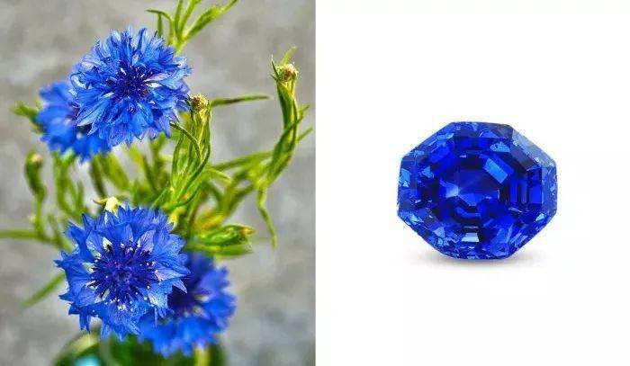 双胞胎|刘嘉玲、那英撞脸，堪比双胞胎？珠宝圈尴尬的碰瓷现场，你更分不清...