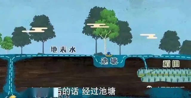 鸭出栏周期 252d2f2cd4864916b1b3a75301556543.jpeg