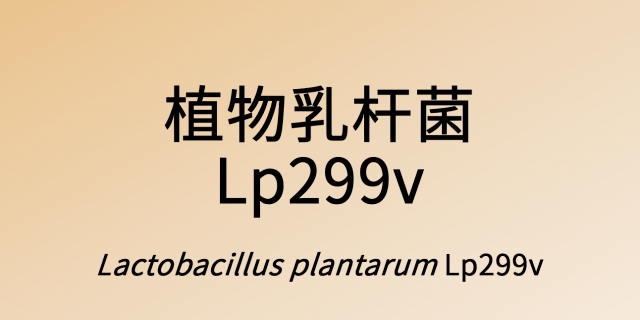 植物乳杆菌lp299v的循证文献合集
