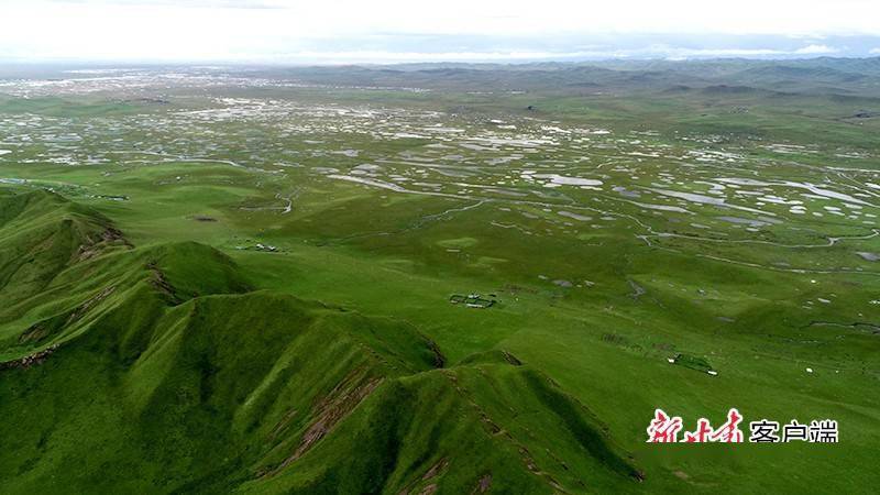 保护黄河水生态 做足黄河水文章——贯彻习近平总书记