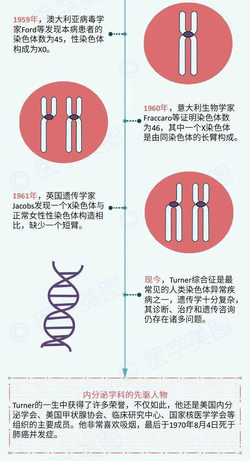 特纳综合征的故事美图赏析