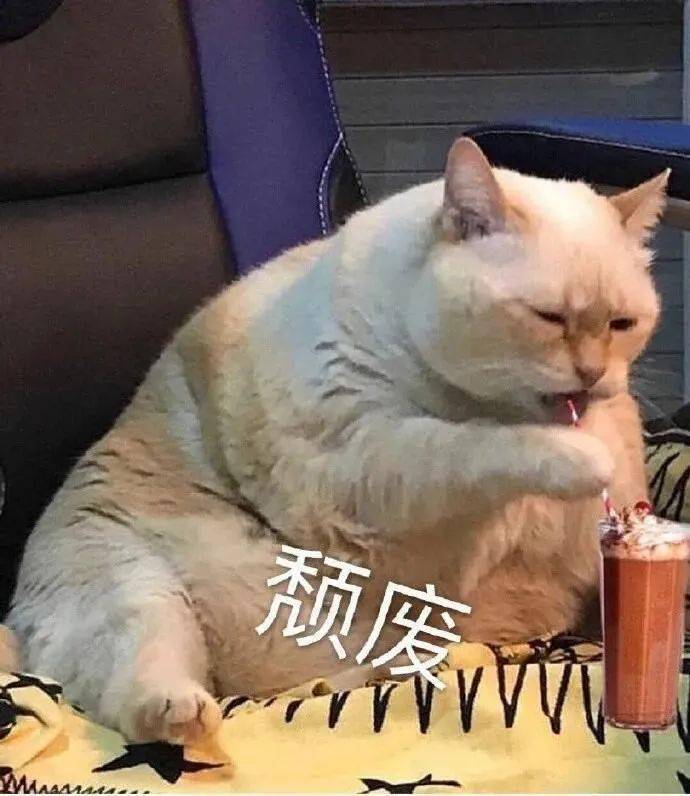 生姜|自用真爱高光