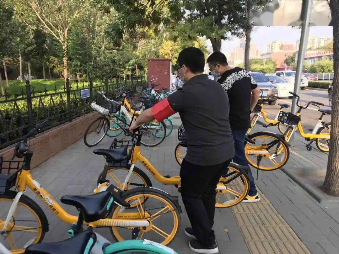 武汉ofo运维师傅每天搬运400余辆共享单车 保障市民最后一公里出行