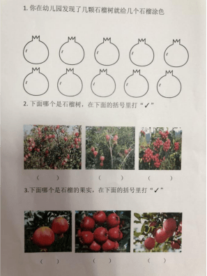 榴花飘香秋意浓石榴宝宝学问多