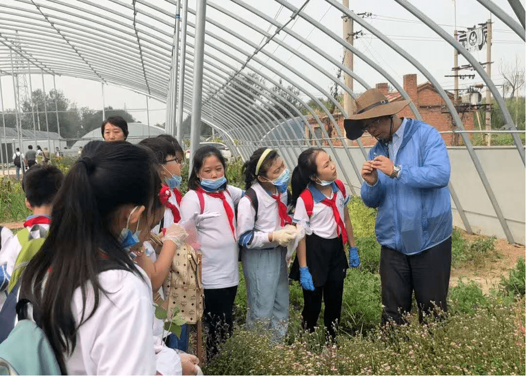 小学生们在天津农学院温室大棚学习种植,了解花卉种植知识