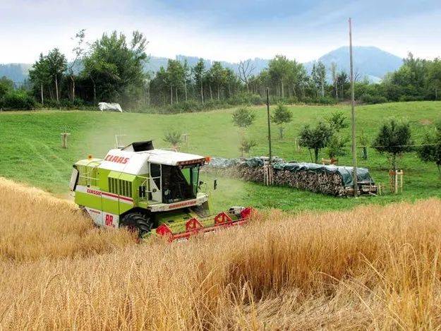 环境|不讲究吃，待客“寒碜”……瑞士人为何如此富而不“造”