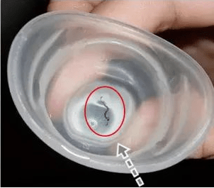 脏东西|眼睛干涩、胀痛、红血丝?用眼过度,只需10秒,给眼睛来一次彻底大清洗,网友:眼里脏东西竟然这么多!洗后爽爆了!