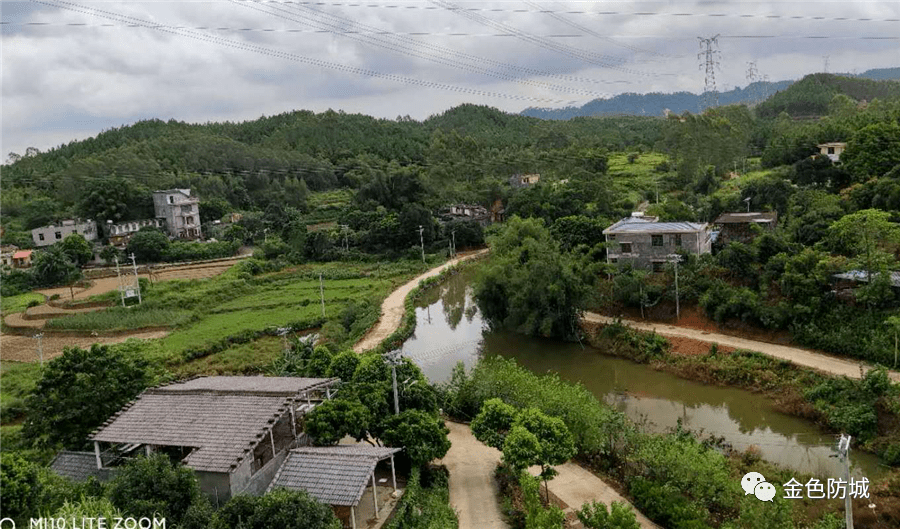 走向我们的小康生活丨敢向荒野要财富