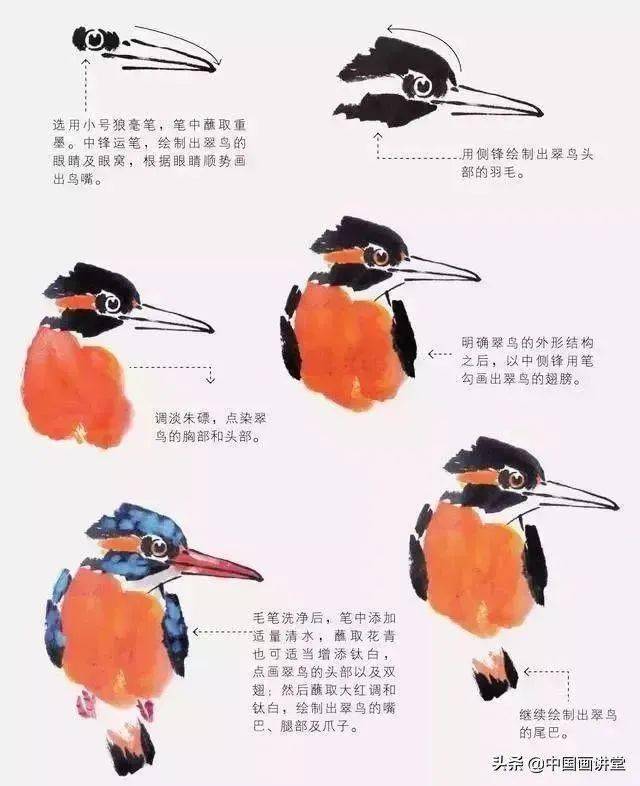 写意翠鸟的画法一