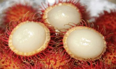 苹果最贵的是什么种类 4f302f66706547be960648bfc36dc316.png