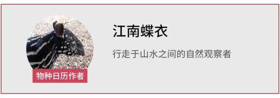 图片|说出来你可能不信,让鬼见愁的可能是洗手液