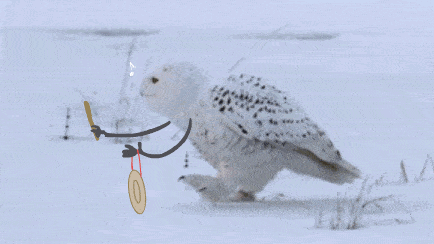 资料目录水景su模型(58套)部分su模型展示除了水景su模型我们还有更