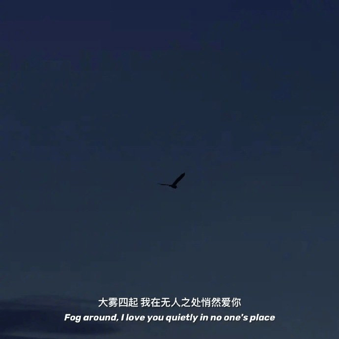 你一如往常发着光 而我就这样 安静的被遗忘