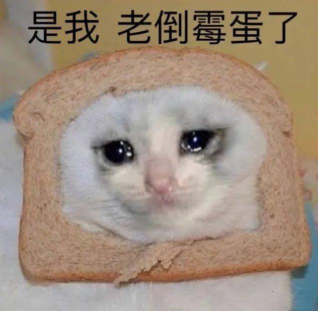差点给我送走.
