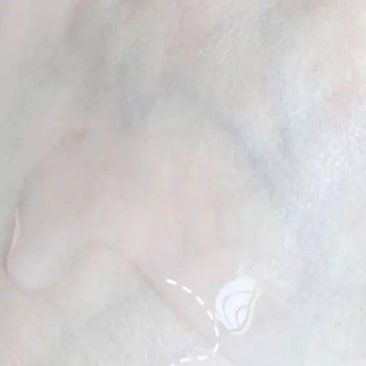 品牌|这5个国货品牌，让整个办公室的美妆博主都疯狂了！