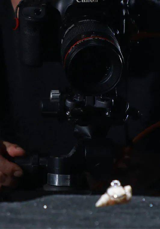 蓝宝石|神牛S30皇家蓝宝石拍摄记