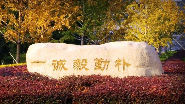 奇迹 新的浙小商将会为商大注入新鲜的血液 第七站:"诚毅勤朴"校训石