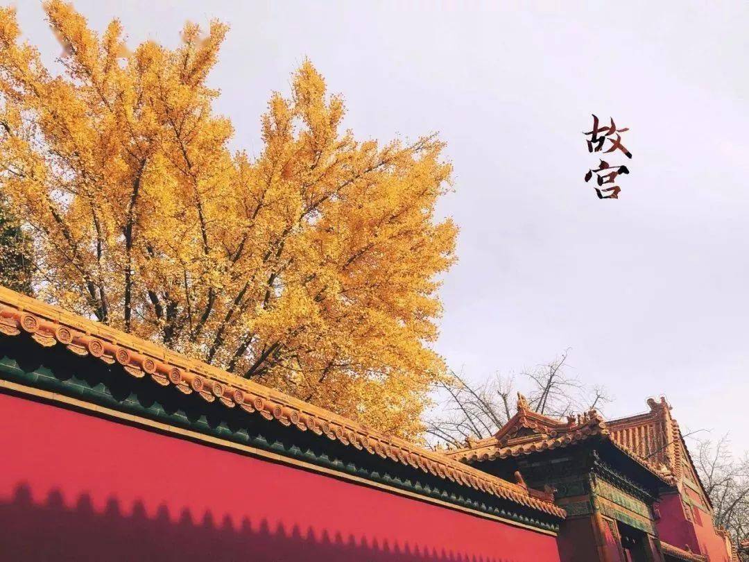 惊艳一到秋天北京居然可以这么美