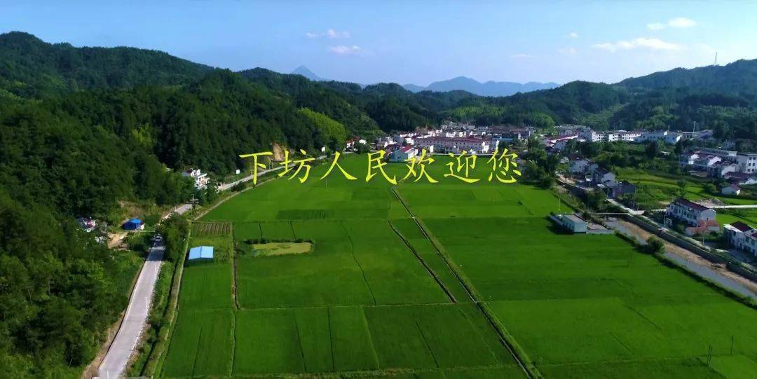 古坊乡人口_岳西古坊乡王松林