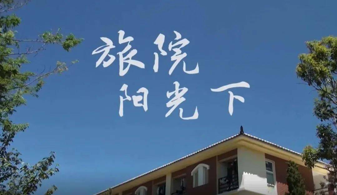 开云娱乐平台-
旅院阳光下(图1)