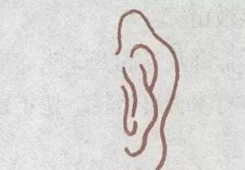 耳朵|“富人无瘦耳”,这四种耳朵,比一般人富有!