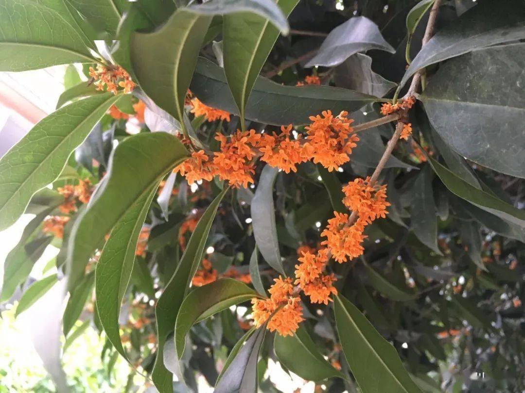 身体|孩子今后如何面对健康与疾病?你现在的态度决定！