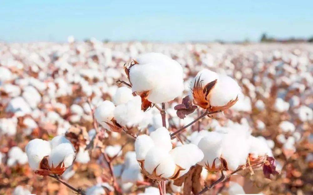 羊绒|羊绒般的磨毛床品，感受被温柔以待的幸福