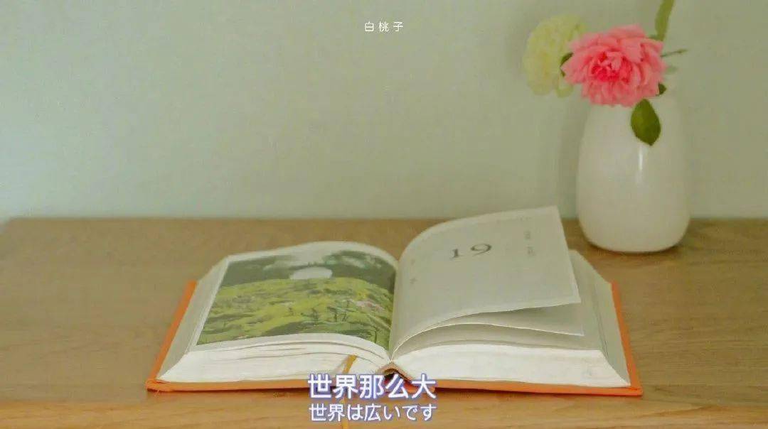 努力生活的样子像极了你我