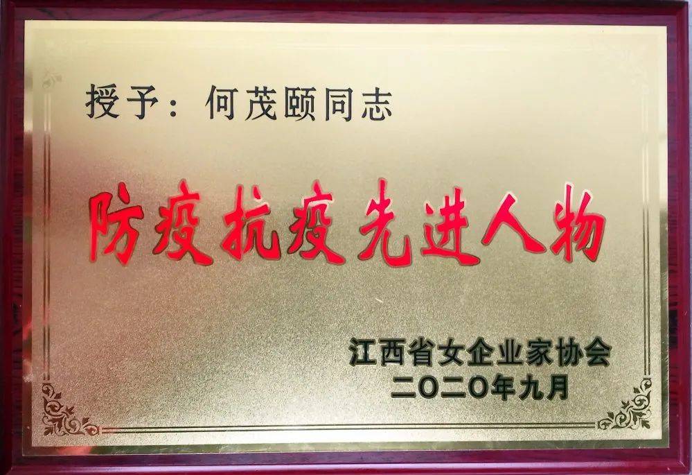 祝贺长新电源副董事长何茂颐荣膺省防疫抗疫先进人物称号