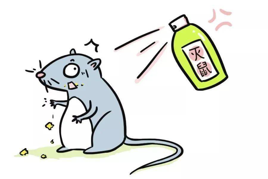 云南:一名3岁儿童被确诊为鼠疫病例!灭鼠卫生运动很重要!