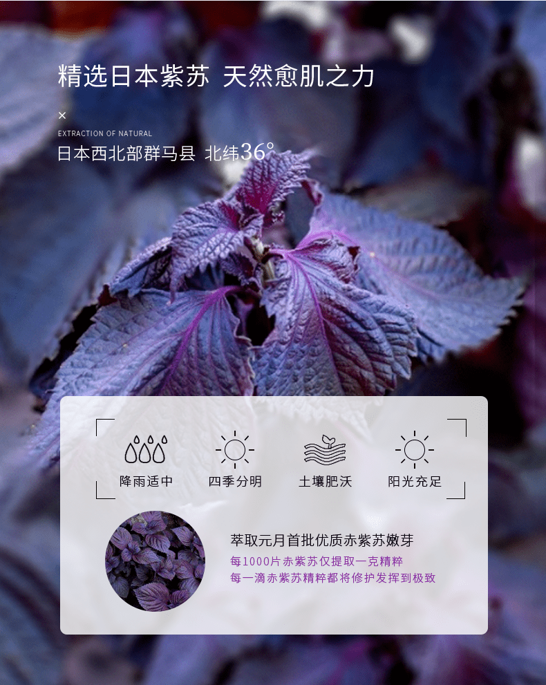 成分|精致，是一场修行 | 好物