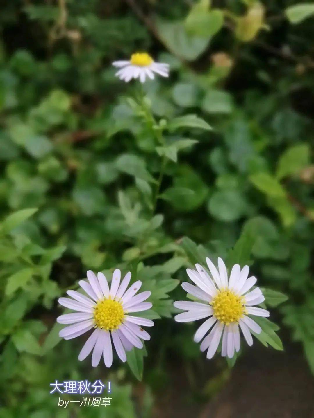 身体|孩子今后如何面对健康与疾病?你现在的态度决定！