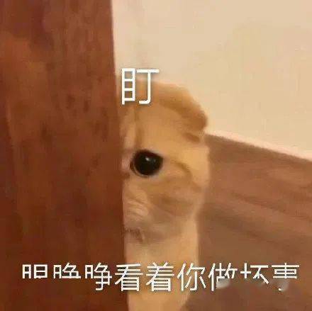bdcaecb17c1e4d17bea7bebf7fd6292e.jpeg