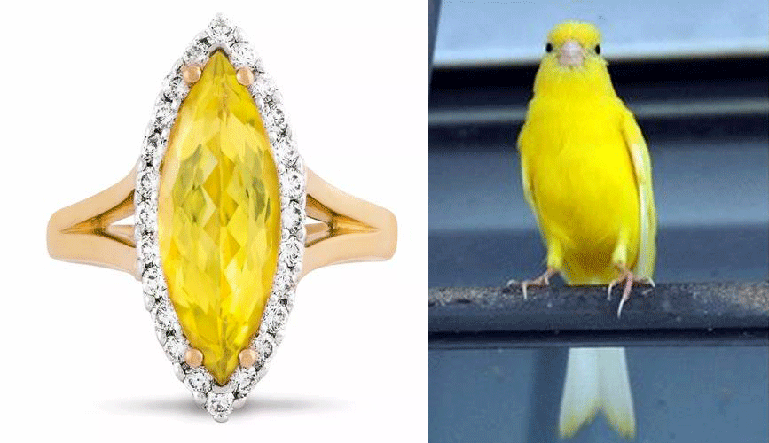 天仙|她比杨幂清纯、是天仙接班人，却被骂“油腻猥琐”？看完剧我也夸不出来