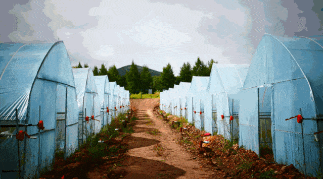 承德市丰宁县gdp_承德市丰宁县韩秀军(3)