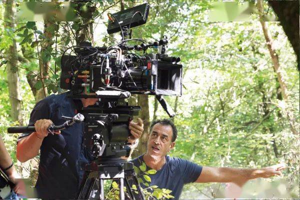 �����»���