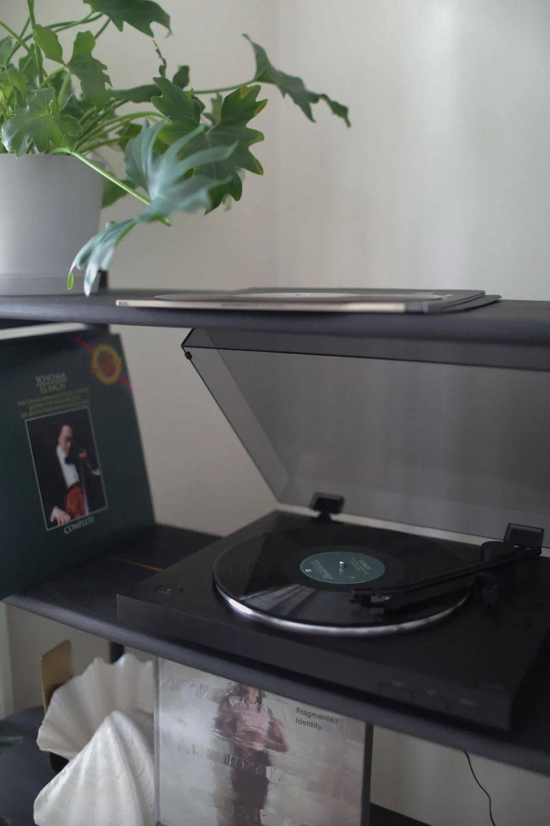 选择了|Moxin｜来啦 分享一期新家的 Roomtour