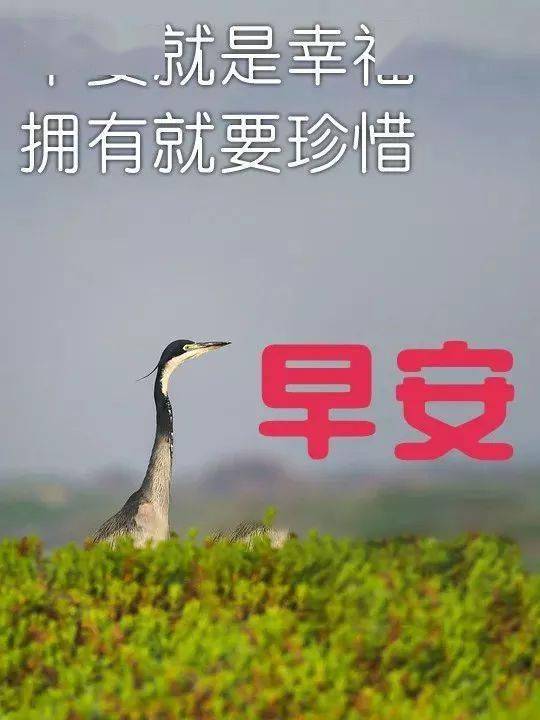 10月1日早安问候加漂亮的早上好图片 10月微信温馨早晨好图片带字带