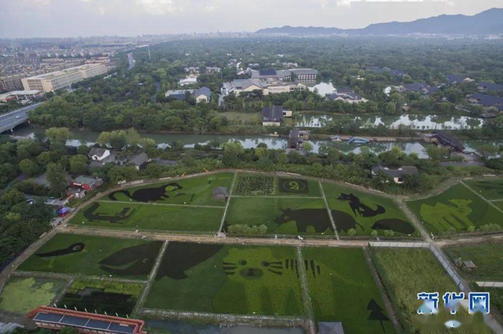 为什么杭州gdp_杭州gdp和香港(3)