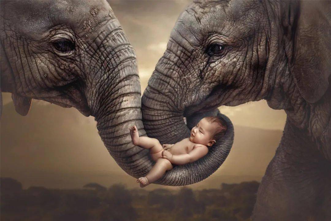 访谈|茄子访谈 | 小单摄影,享受一张照片从无到有的过程