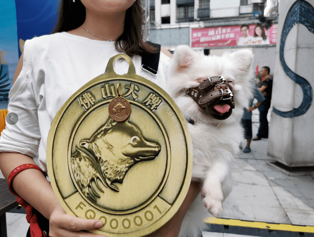 今天是这十只狗狗的狗生大事佛山首批犬牌正式发出