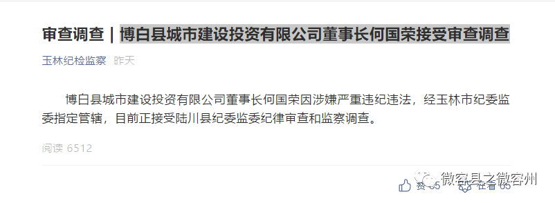 博白县城市建设投资有限公司董事长何国荣接受审查调查/玉林市福绵区